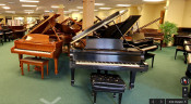 Caruso Piano Gallery Google Virtual Tour