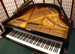 Schimmel5ft_0365