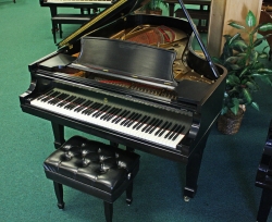 SteinwayB172b46a