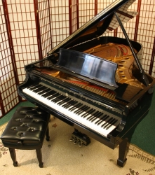 SteinwayB_496538_01