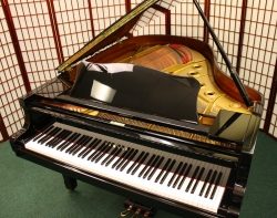 YamC3_4300026_01