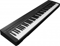 Yamaha_P35_Porta_5087fb470b4d3.jpg