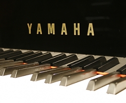 yamahag1logo