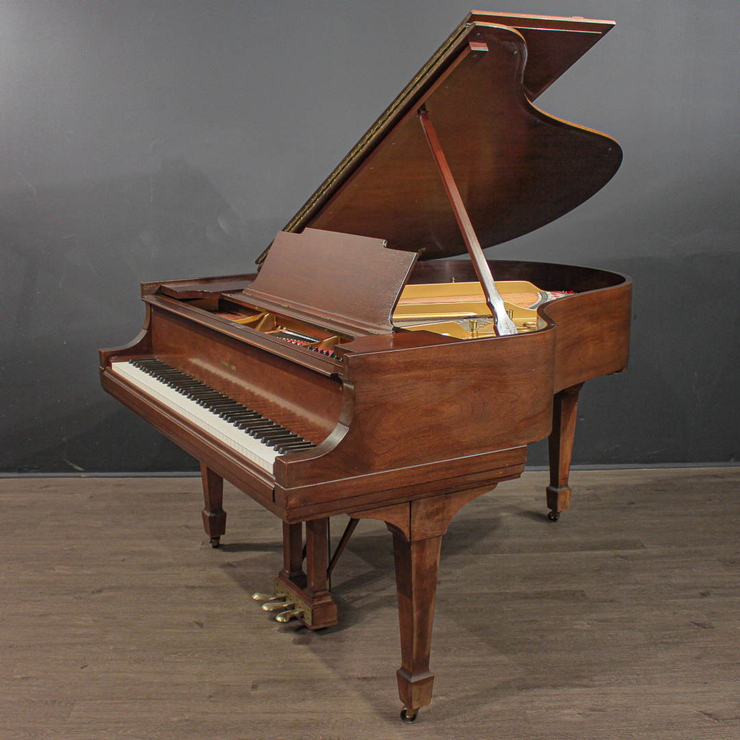 steinway_m_154922_2__1774632546_186