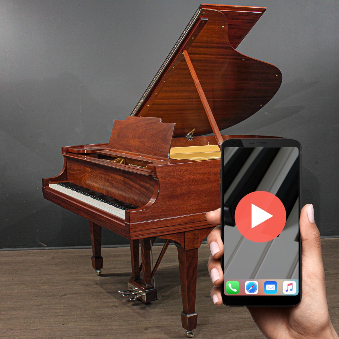 steinway_m_245330_1pl__1775665747_222