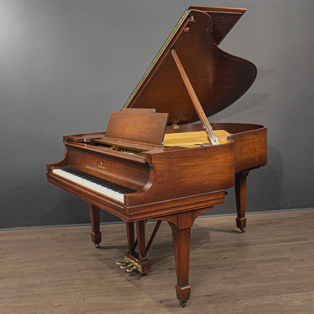 steinway_m_270209_2__1790964284_464