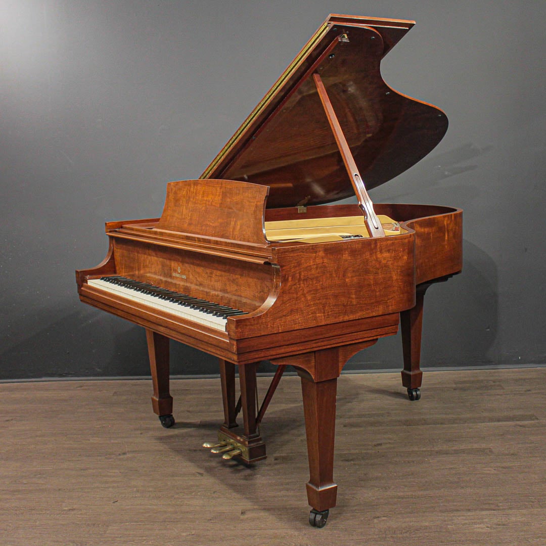 steinway_m_363587_2__1784568642_953