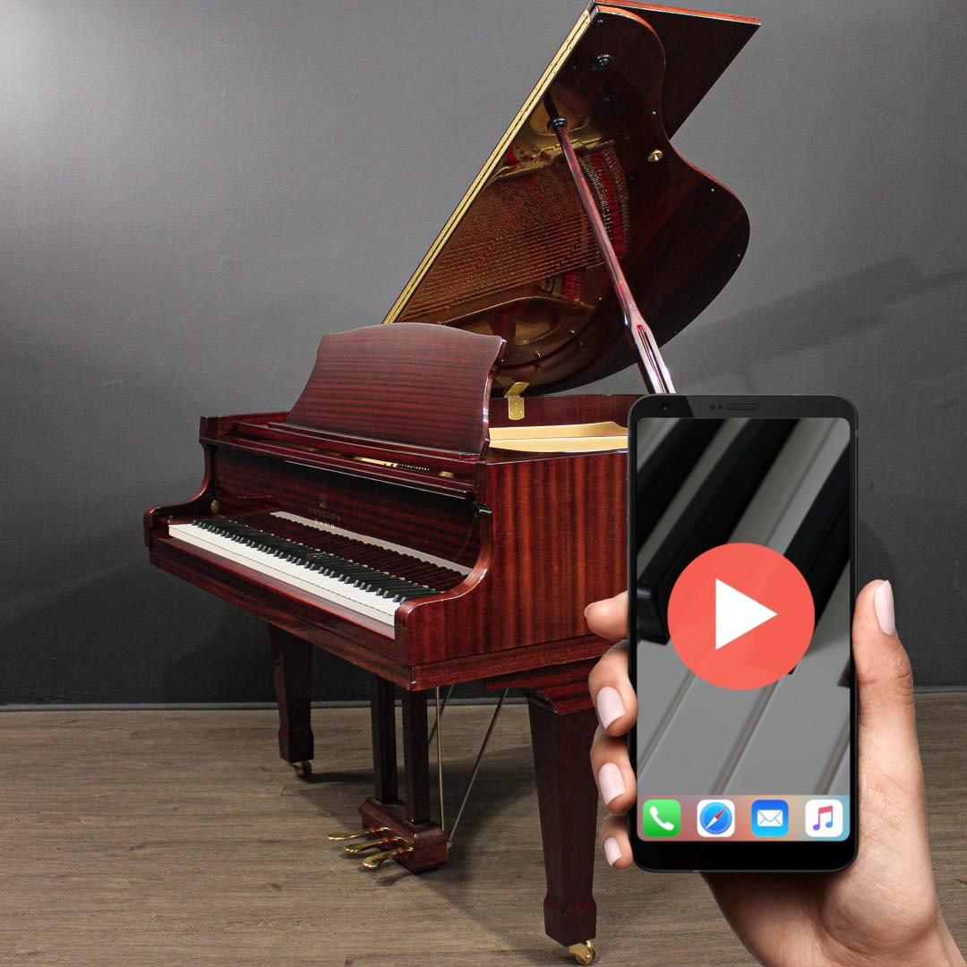 story_clark_152_dg19013_1pl__1760115156_187