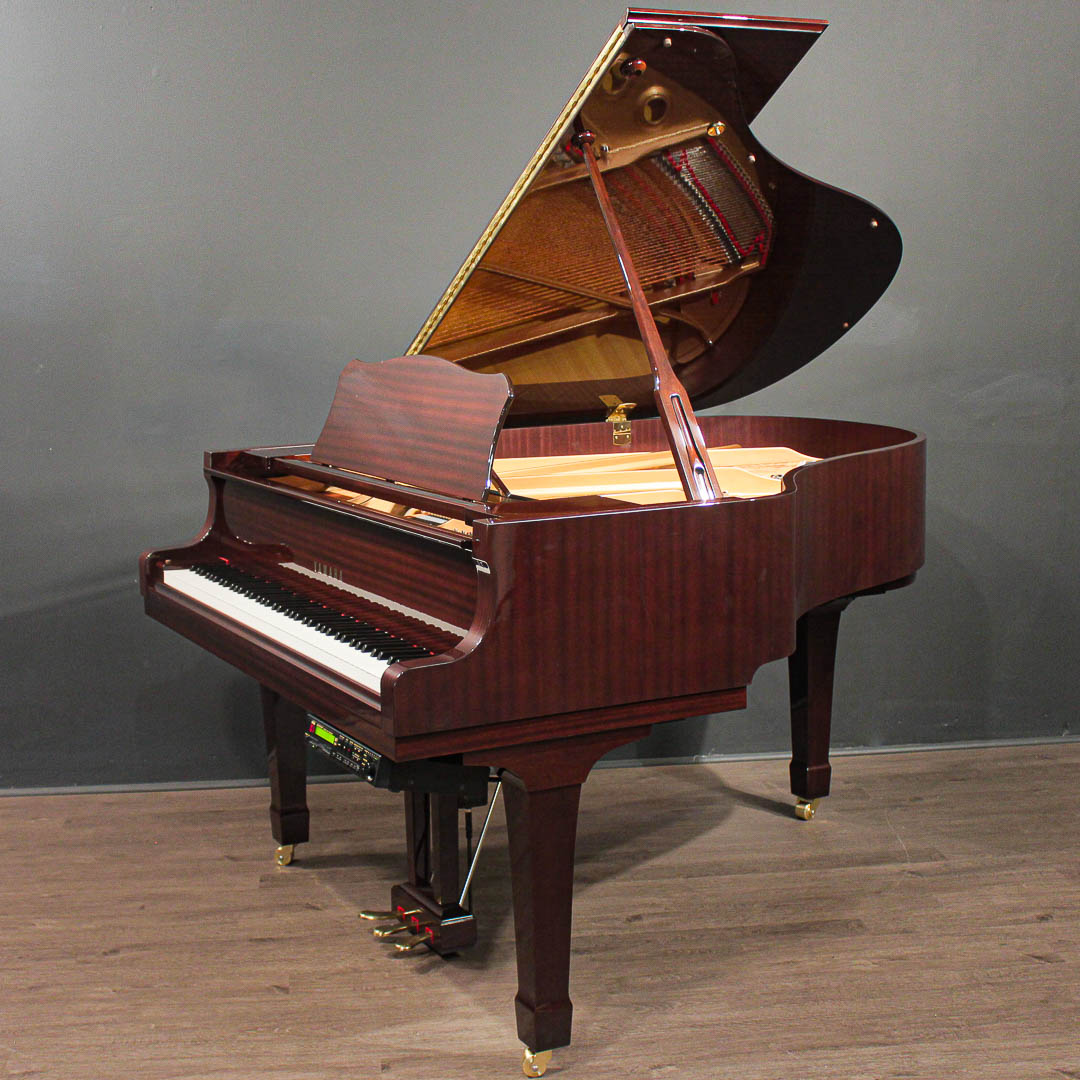 Grand Pianos