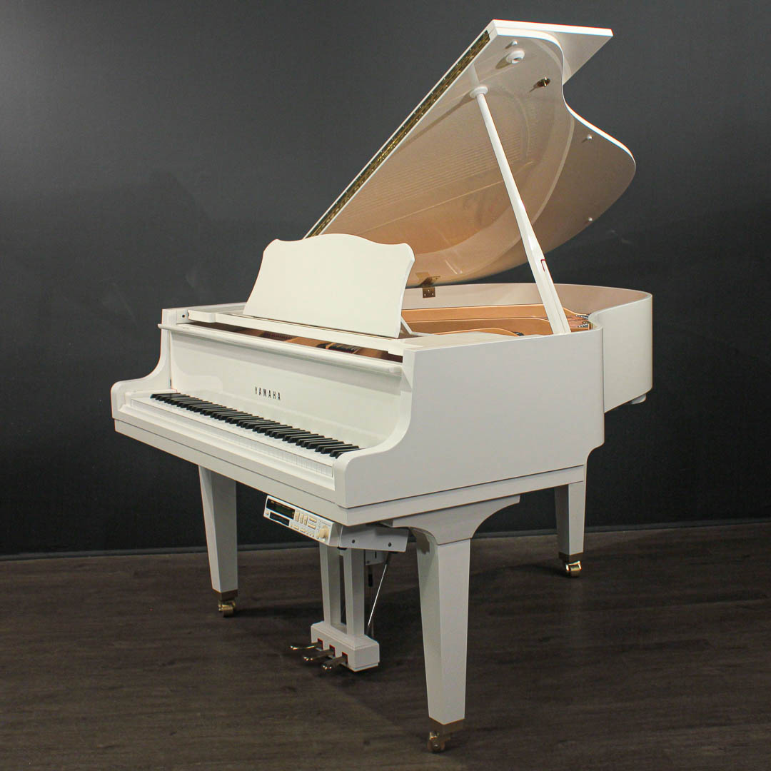 yamaha_dgh1b_5589310_2__1769444941_652